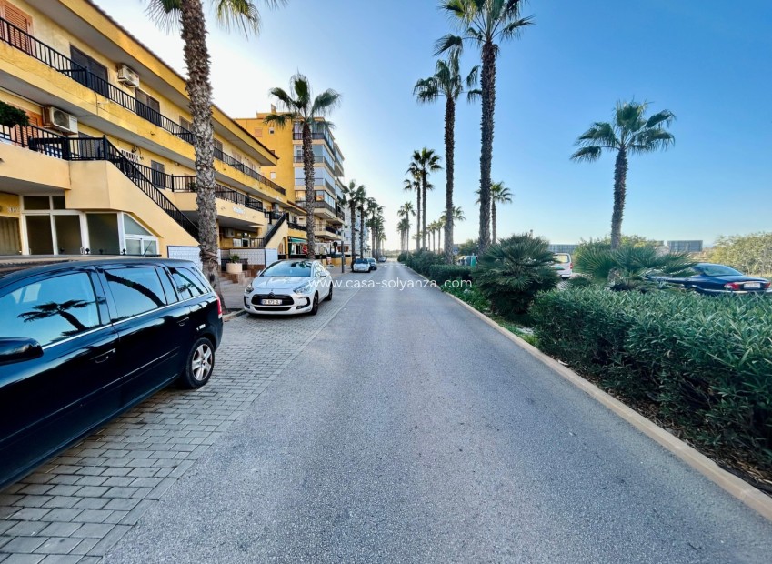 Herverkoop - Appartement / flat - Torrevieja - Costa Blanca