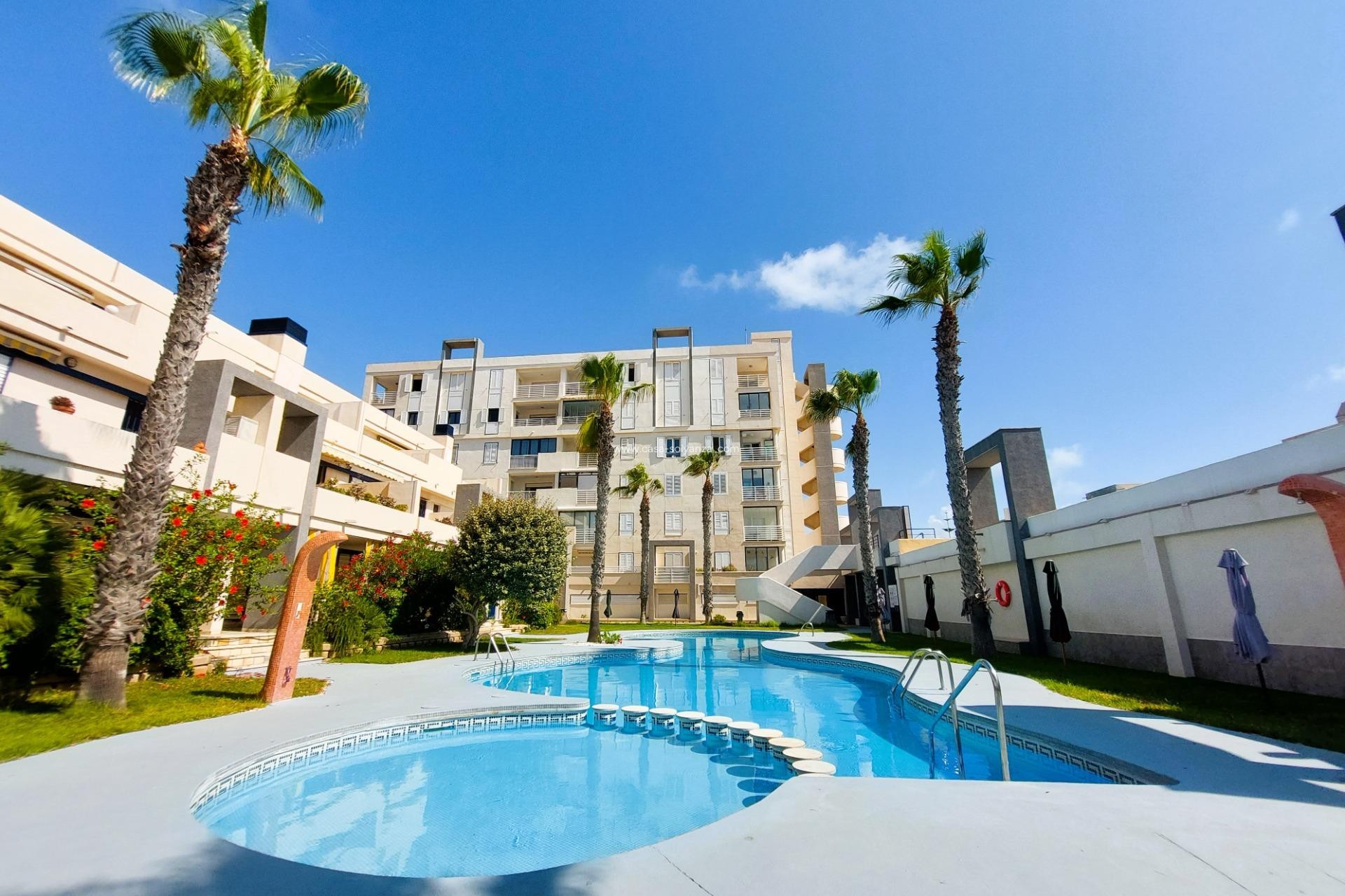 Herverkoop - Appartement / flat - Torrevieja - Costa Blanca