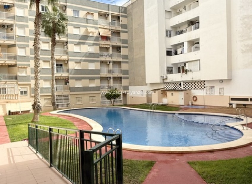 Herverkoop - Appartement / flat - Torrevieja - Costa Blanca