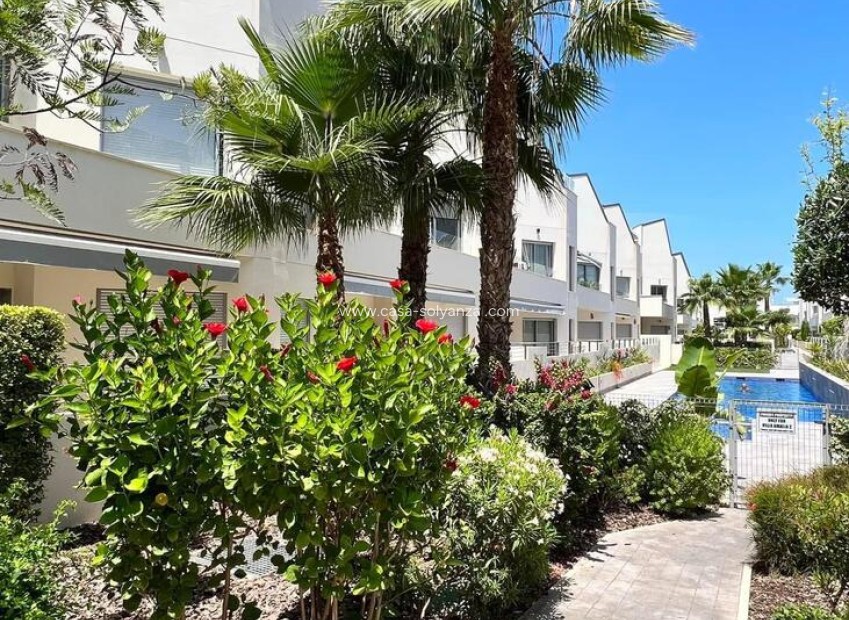 Herverkoop - Appartement / flat - Torrevieja - Costa Blanca