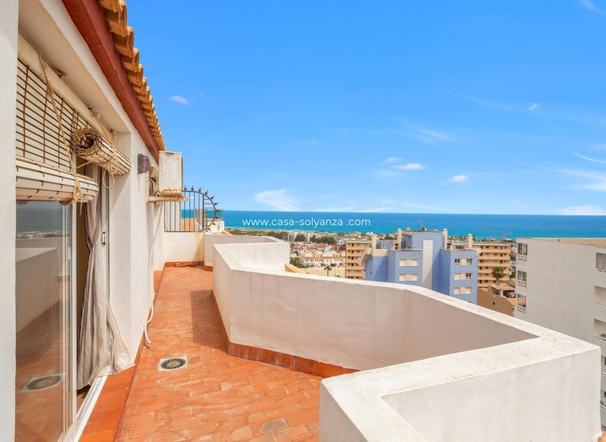 Herverkoop - Appartement / flat - Torrevieja - Costa Blanca