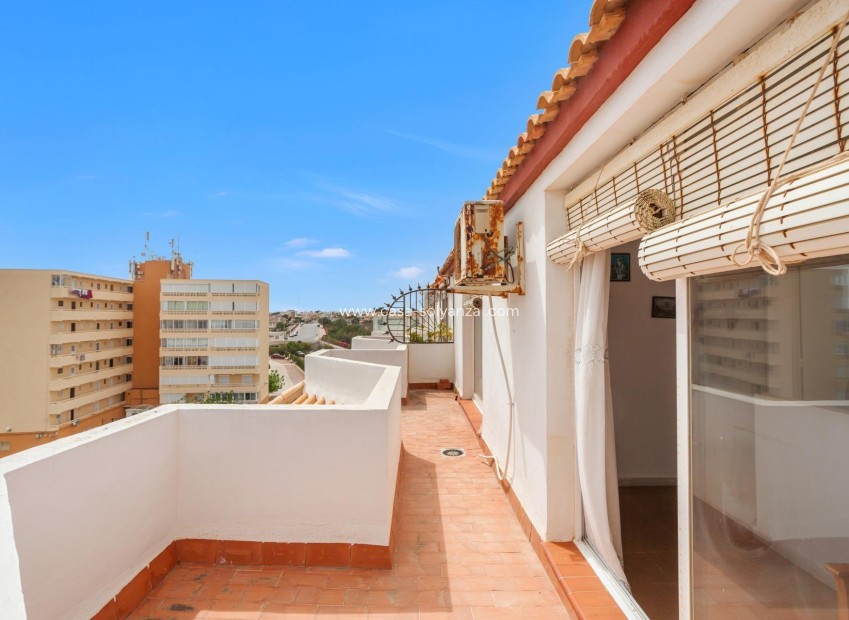 Herverkoop - Appartement / flat - Torrevieja - Costa Blanca
