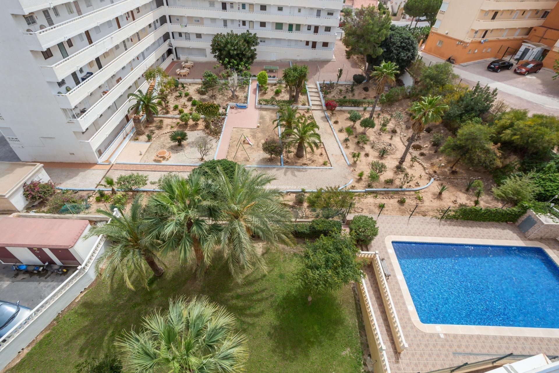 Herverkoop - Appartement / flat - Torrevieja - Costa Blanca
