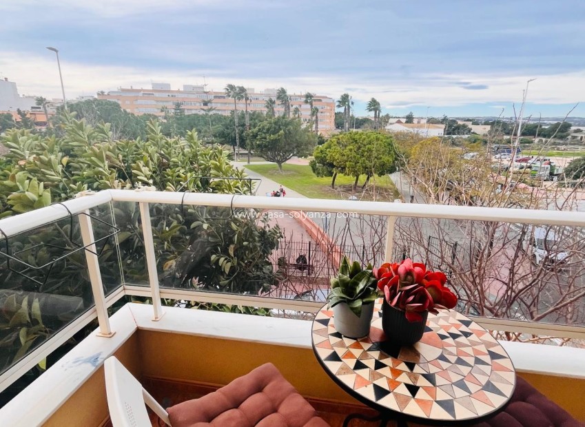 Herverkoop - Appartement / flat - Torrevieja - Costa Blanca