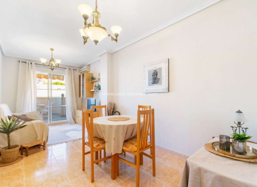 Herverkoop - Appartement / flat - Torrevieja - Costa Blanca