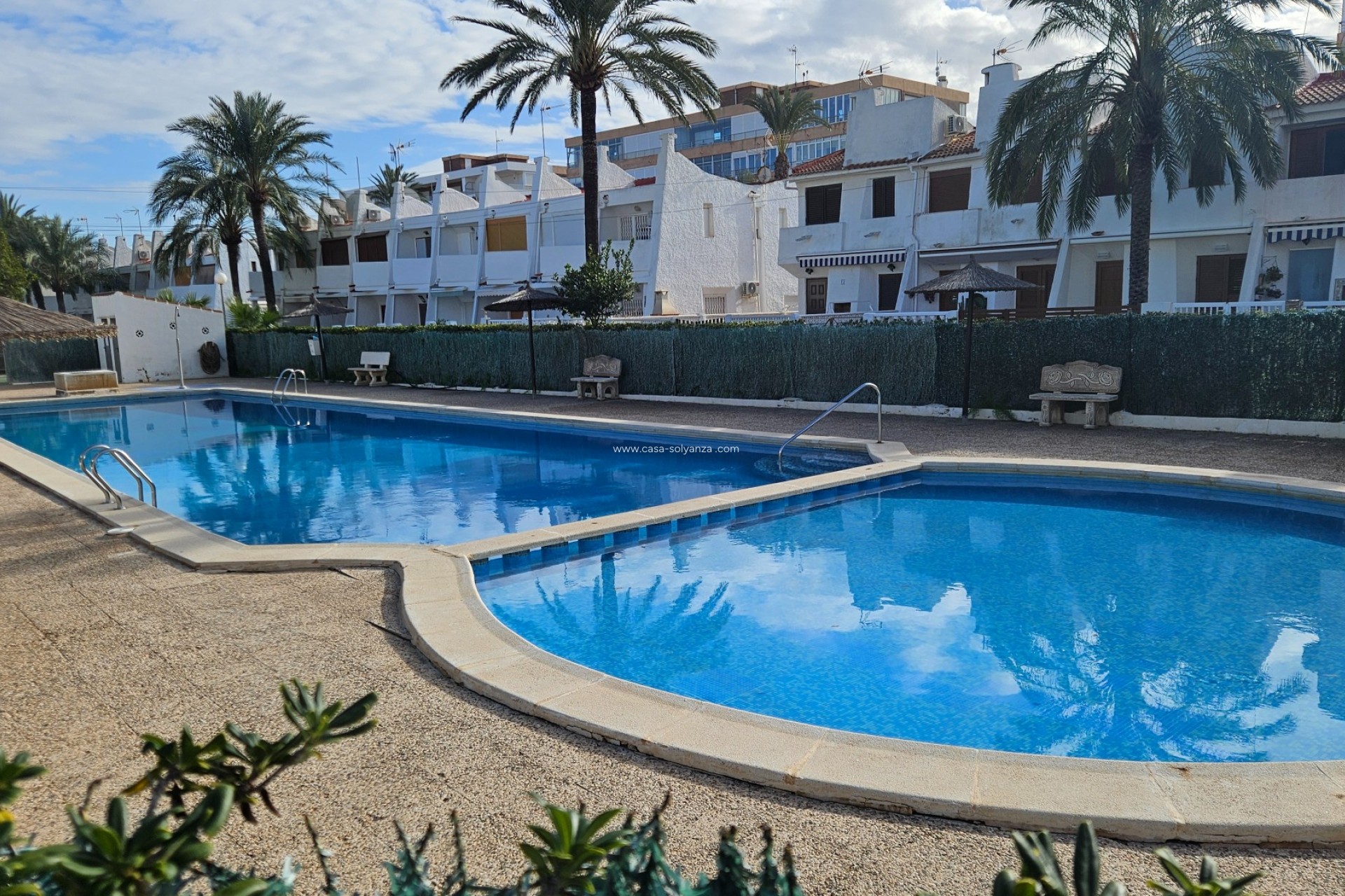 Herverkoop - Appartement / flat - Torrevieja - Costa Blanca