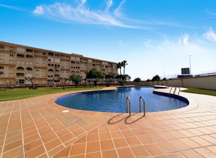 Herverkoop - Appartement / flat - Torrevieja - Costa Blanca