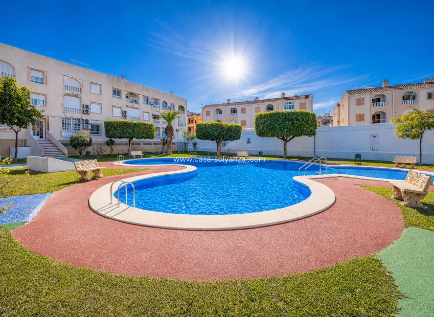 Herverkoop - Appartement / flat - Torrevieja - Costa Blanca