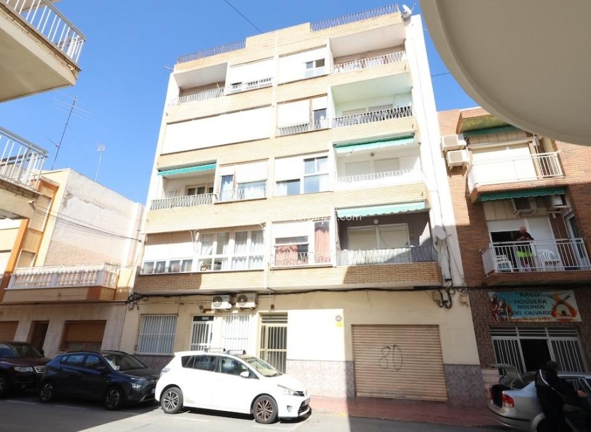Herverkoop - Appartement / flat - Torrevieja - Costa Blanca
