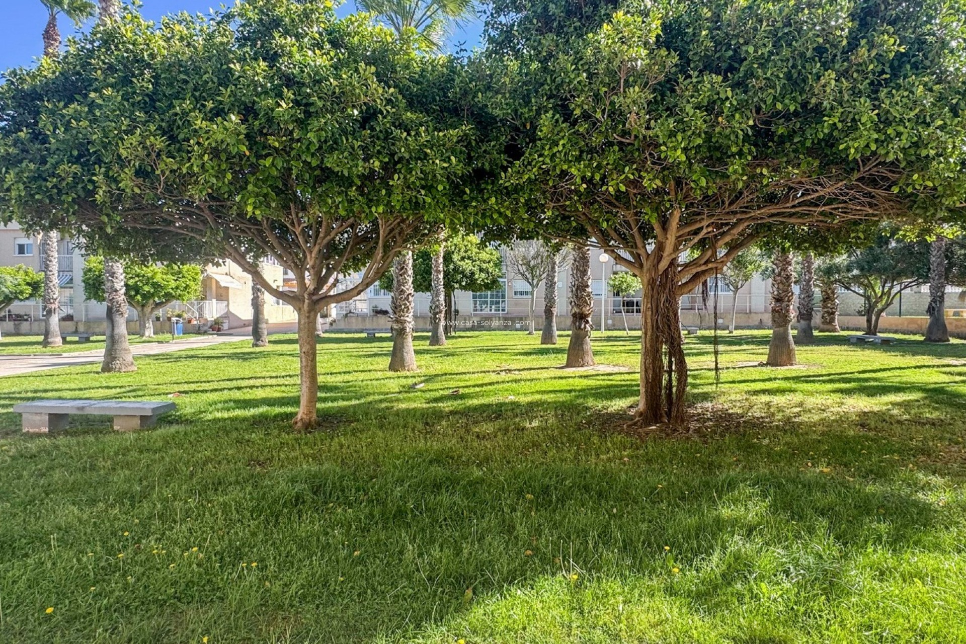 Herverkoop - Appartement / flat - Torrevieja - Costa Blanca