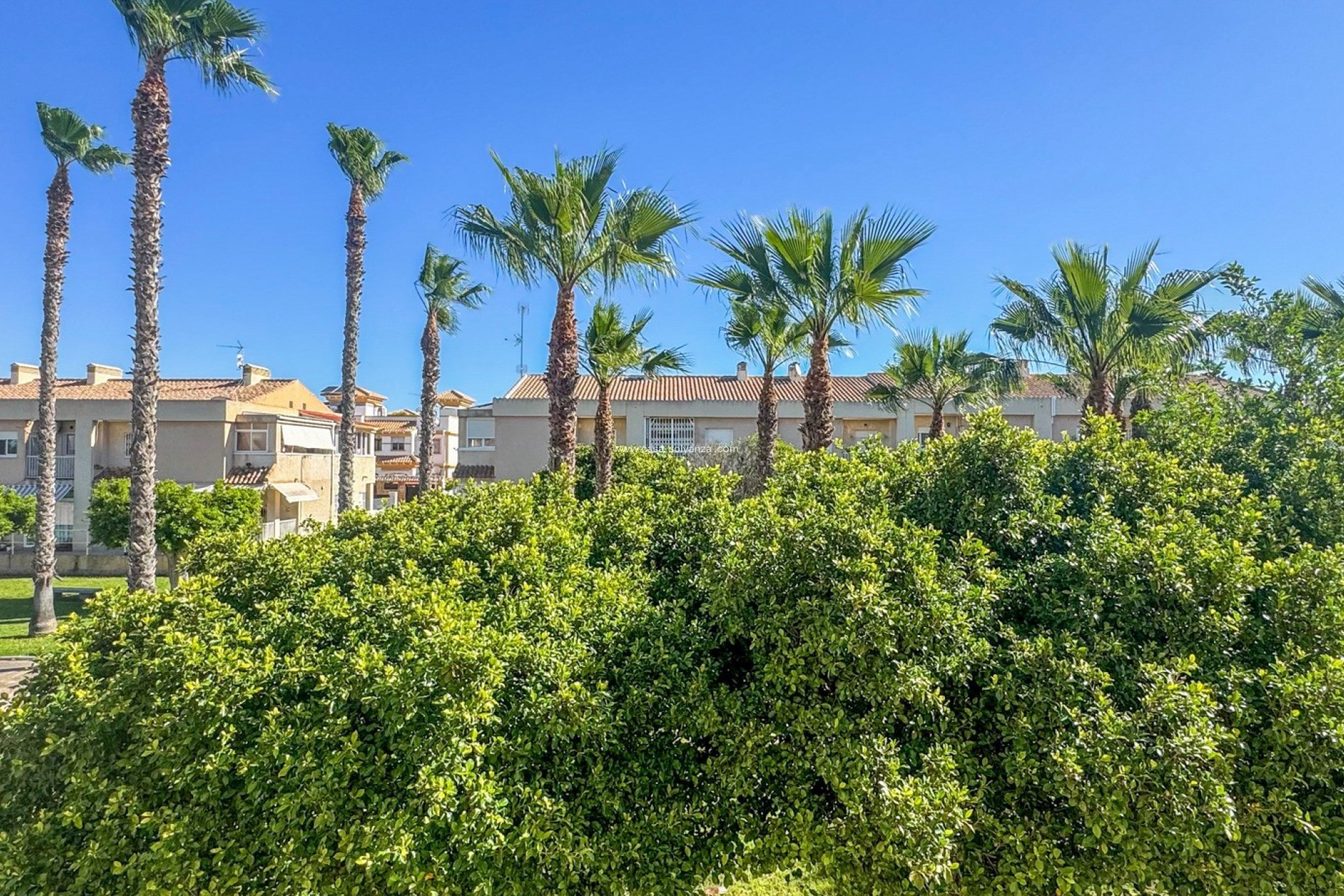 Herverkoop - Appartement / flat - Torrevieja - Costa Blanca
