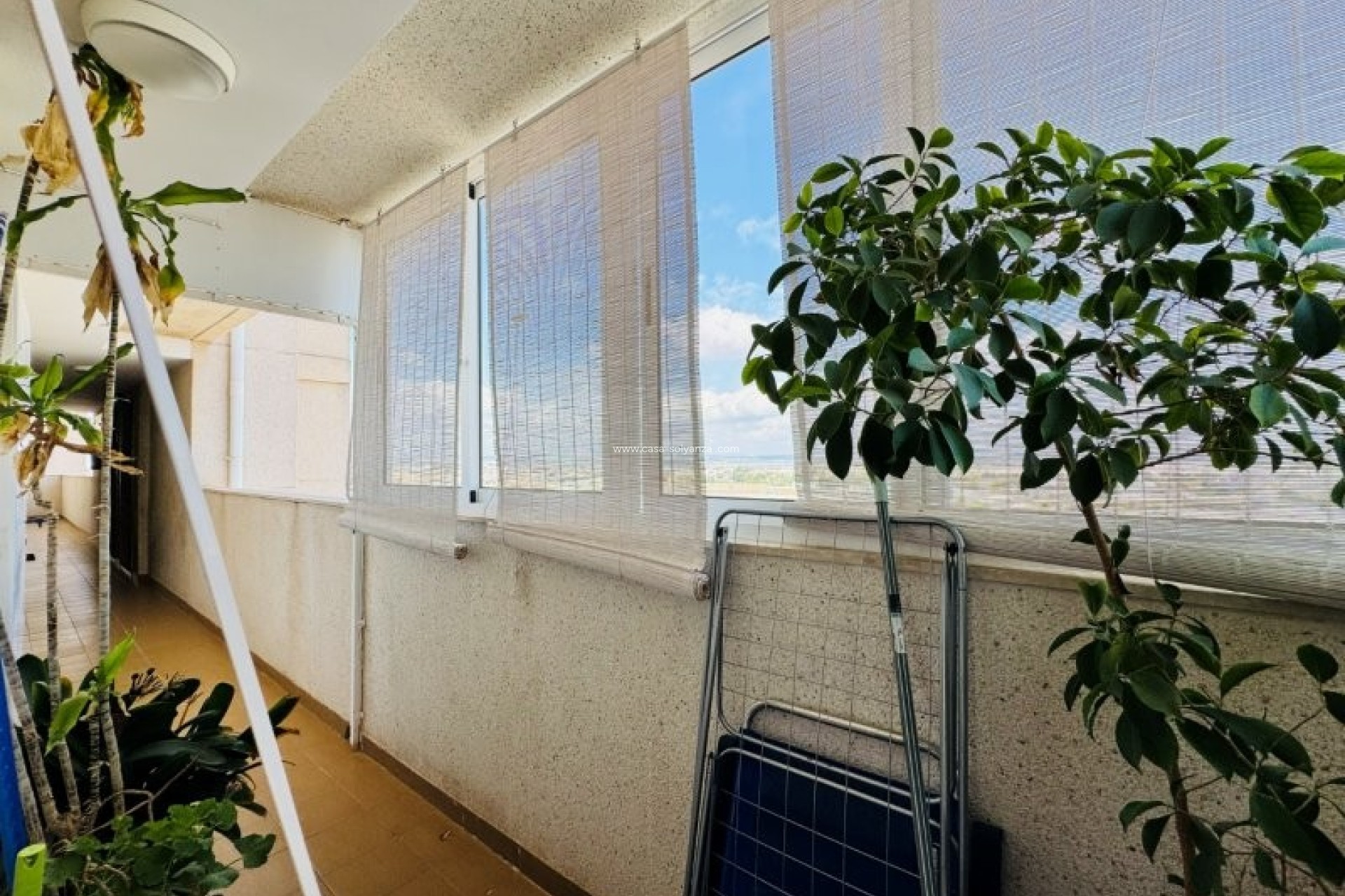 Herverkoop - Appartement / flat - Torrevieja - Costa Blanca