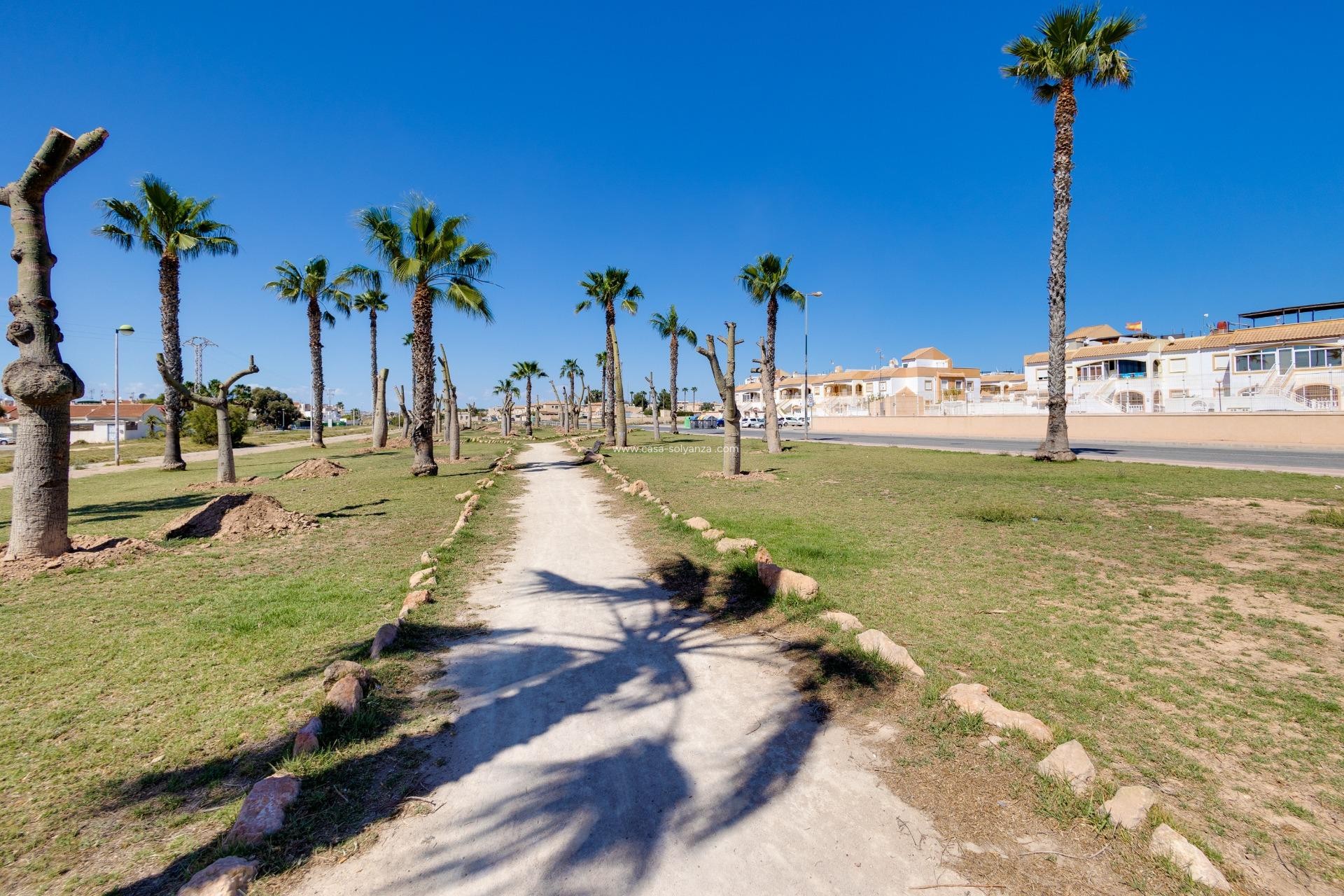 Herverkoop - Appartement / flat - Torrevieja - El Limonar