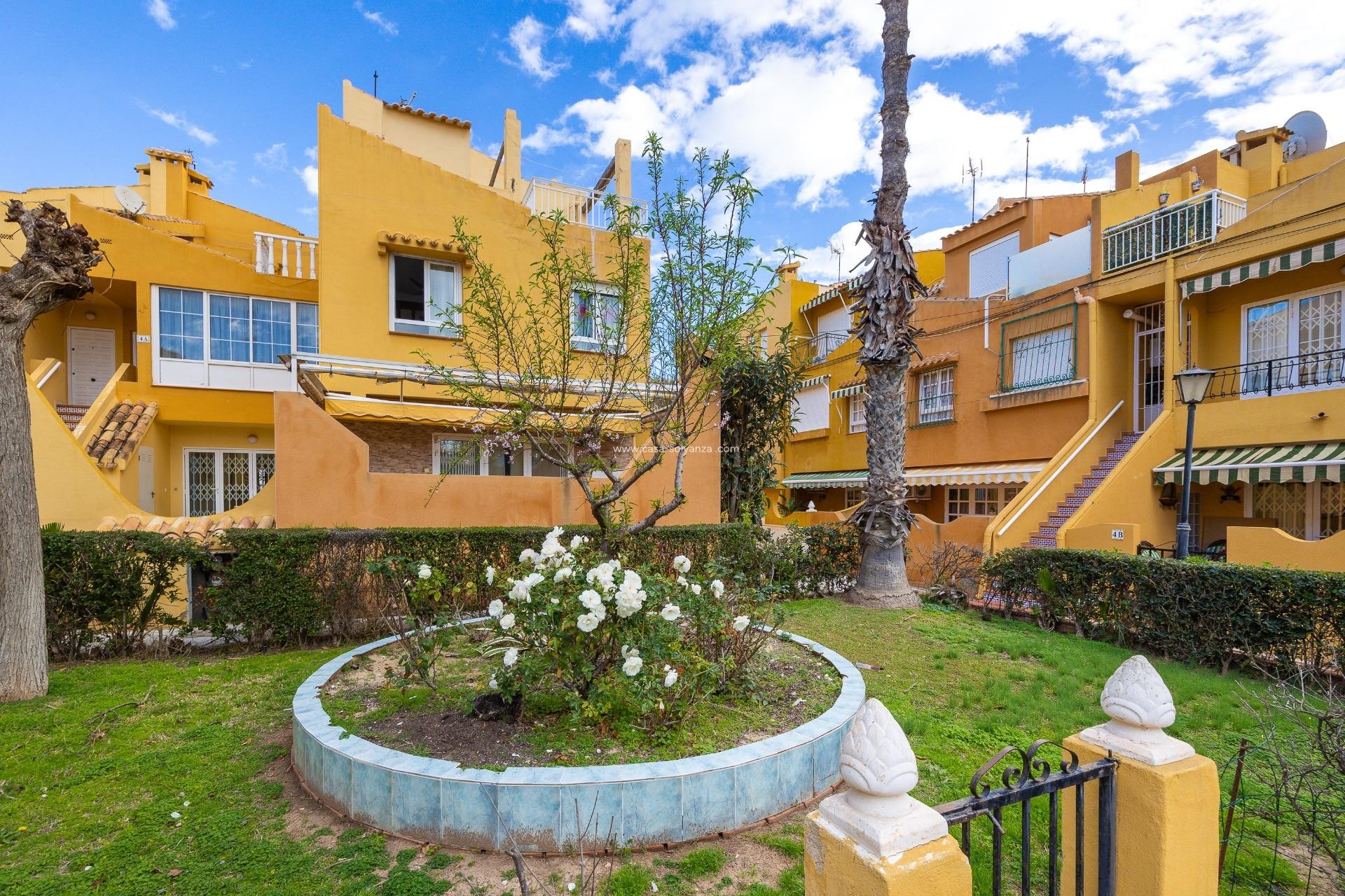 Herverkoop - Appartement / flat - Torrevieja - Eliseos playa