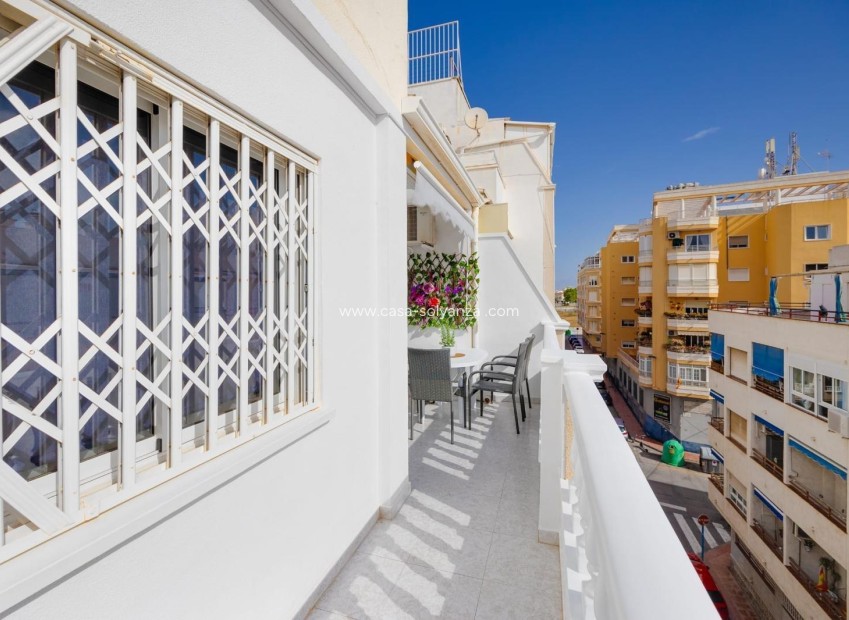 Herverkoop - Appartement / flat - Torrevieja - Estacion Autobuses