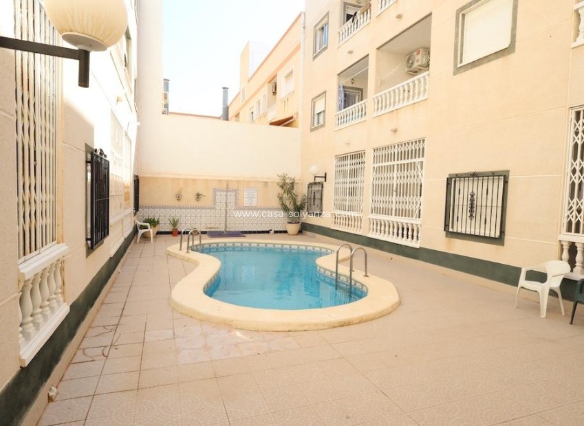 Herverkoop - Appartement / flat - Torrevieja - Estacion Autobuses