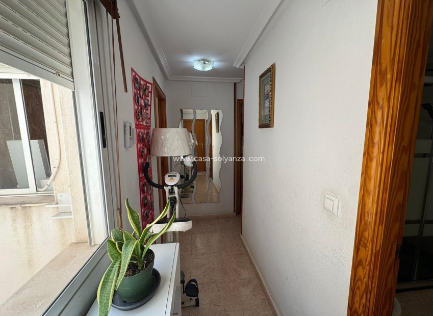 Herverkoop - Appartement / flat - Torrevieja - Estacion Autobuses