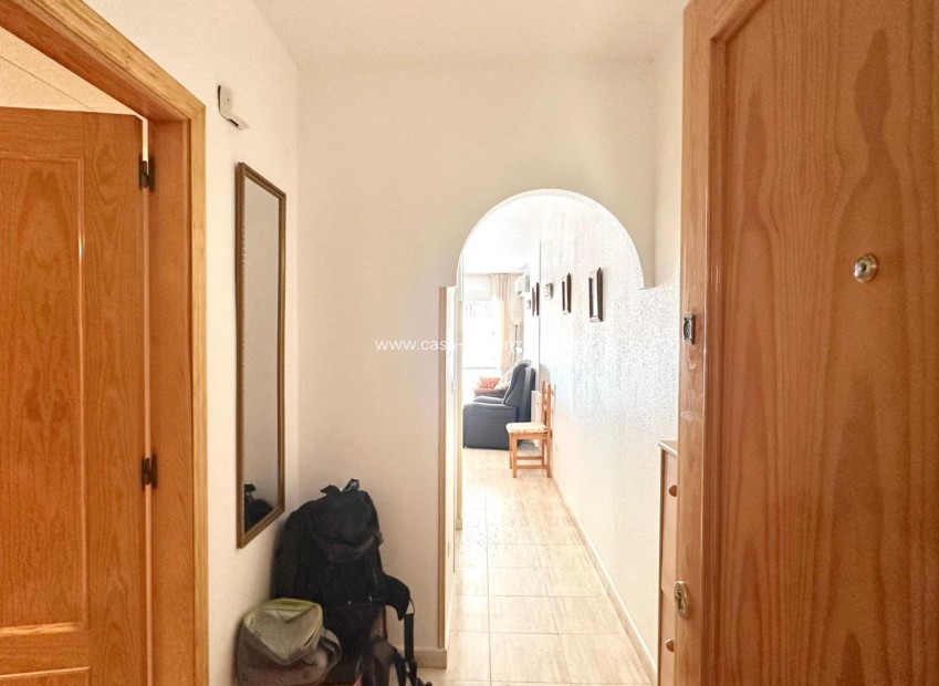 Herverkoop - Appartement / flat - Torrevieja - Estacion Autobuses