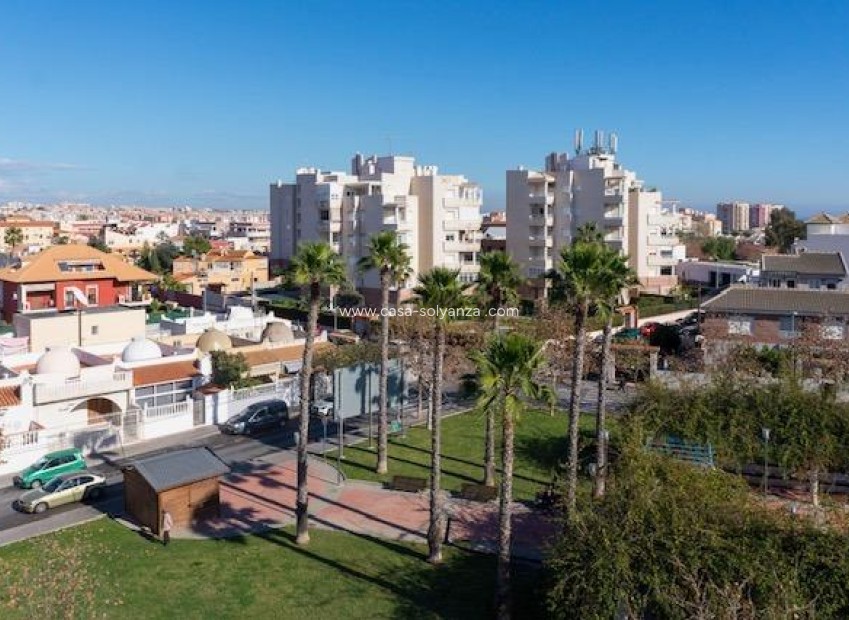 Herverkoop - Appartement / flat - Torrevieja - Estacion Autobuses