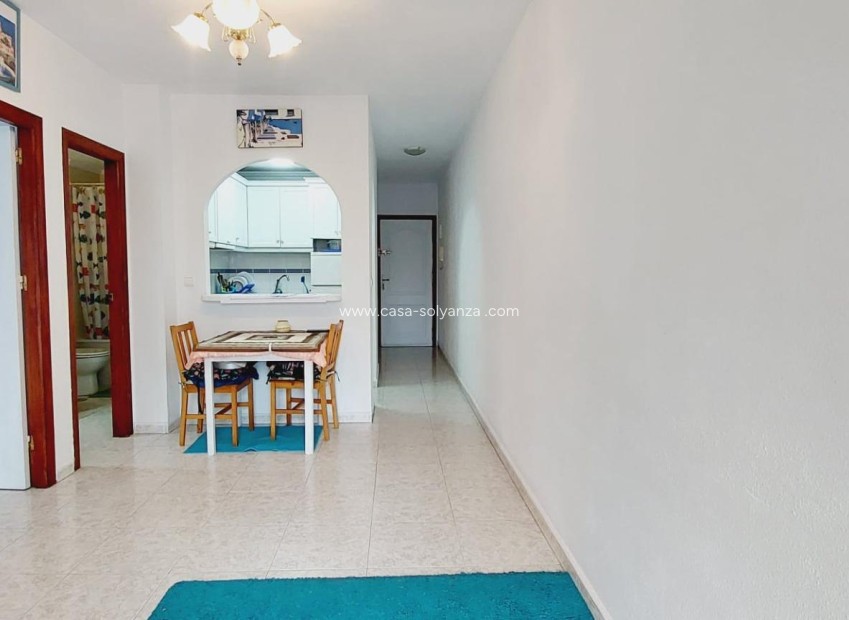 Herverkoop - Appartement / flat - Torrevieja - Estacion Autobuses