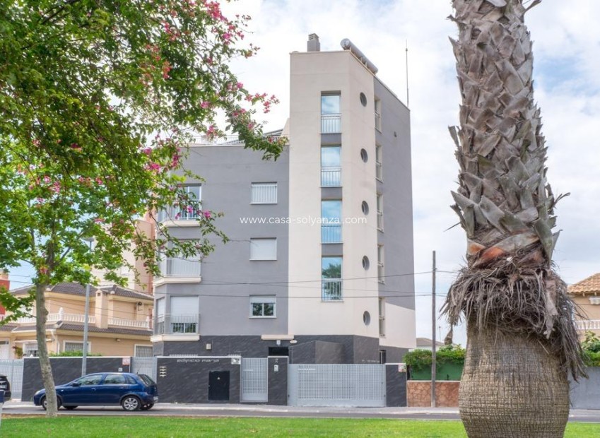 Herverkoop - Appartement / flat - Torrevieja - Estacion Autobuses