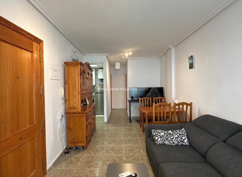 Herverkoop - Appartement / flat - Torrevieja - Estacion Autobuses