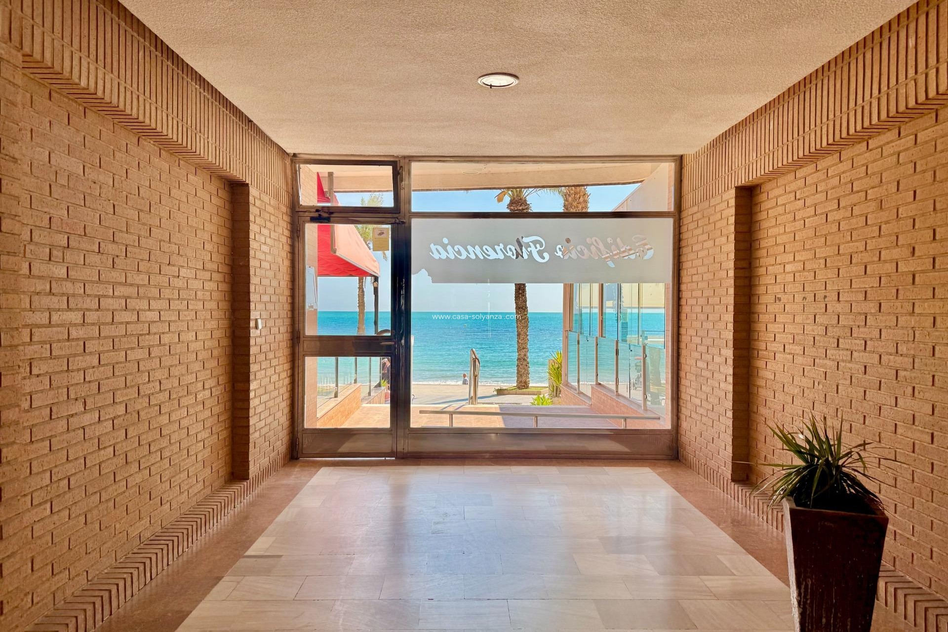 Herverkoop - Appartement / flat - Torrevieja - Estacion Autobuses