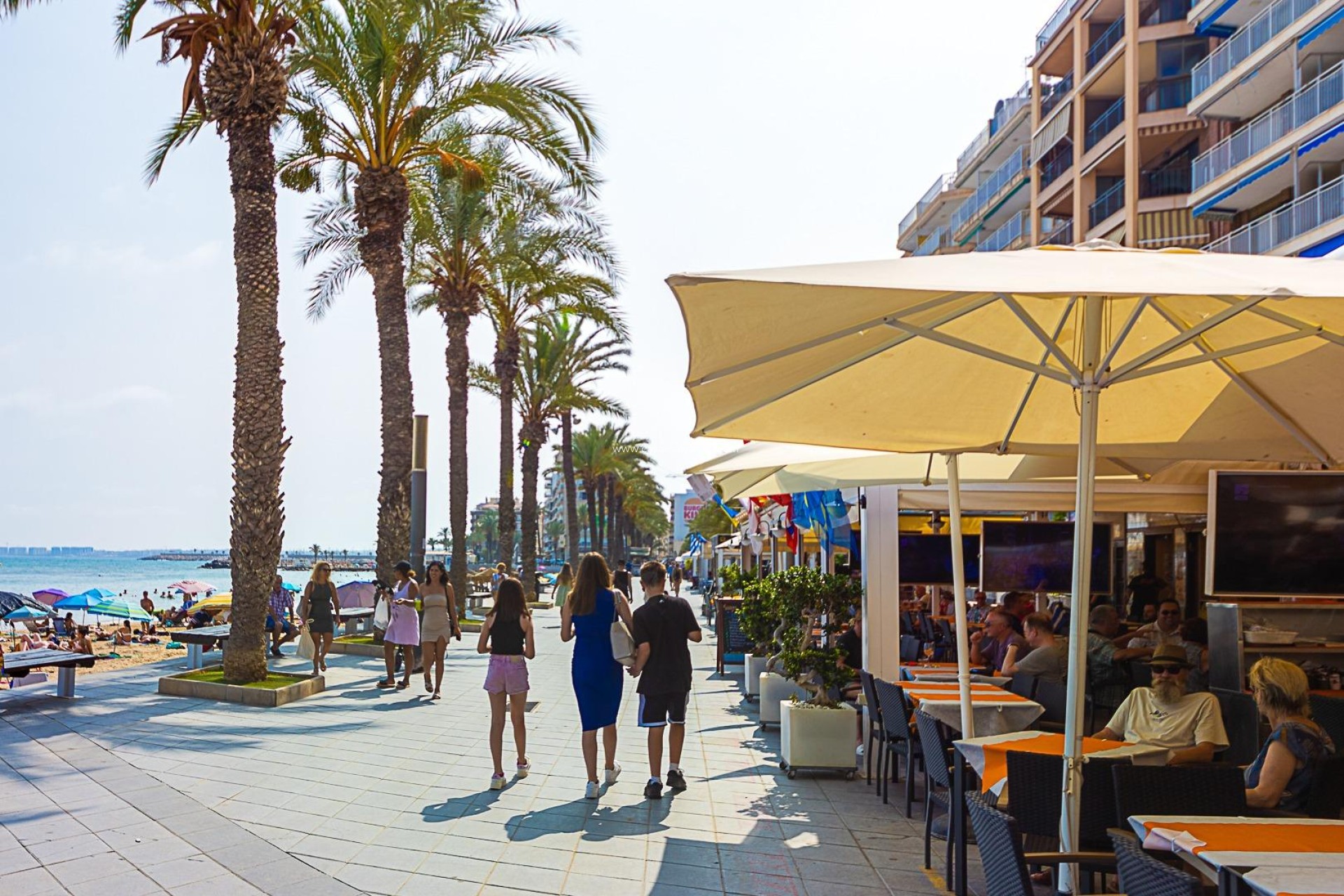 Herverkoop - Appartement / flat - Torrevieja - Estacion Autobuses