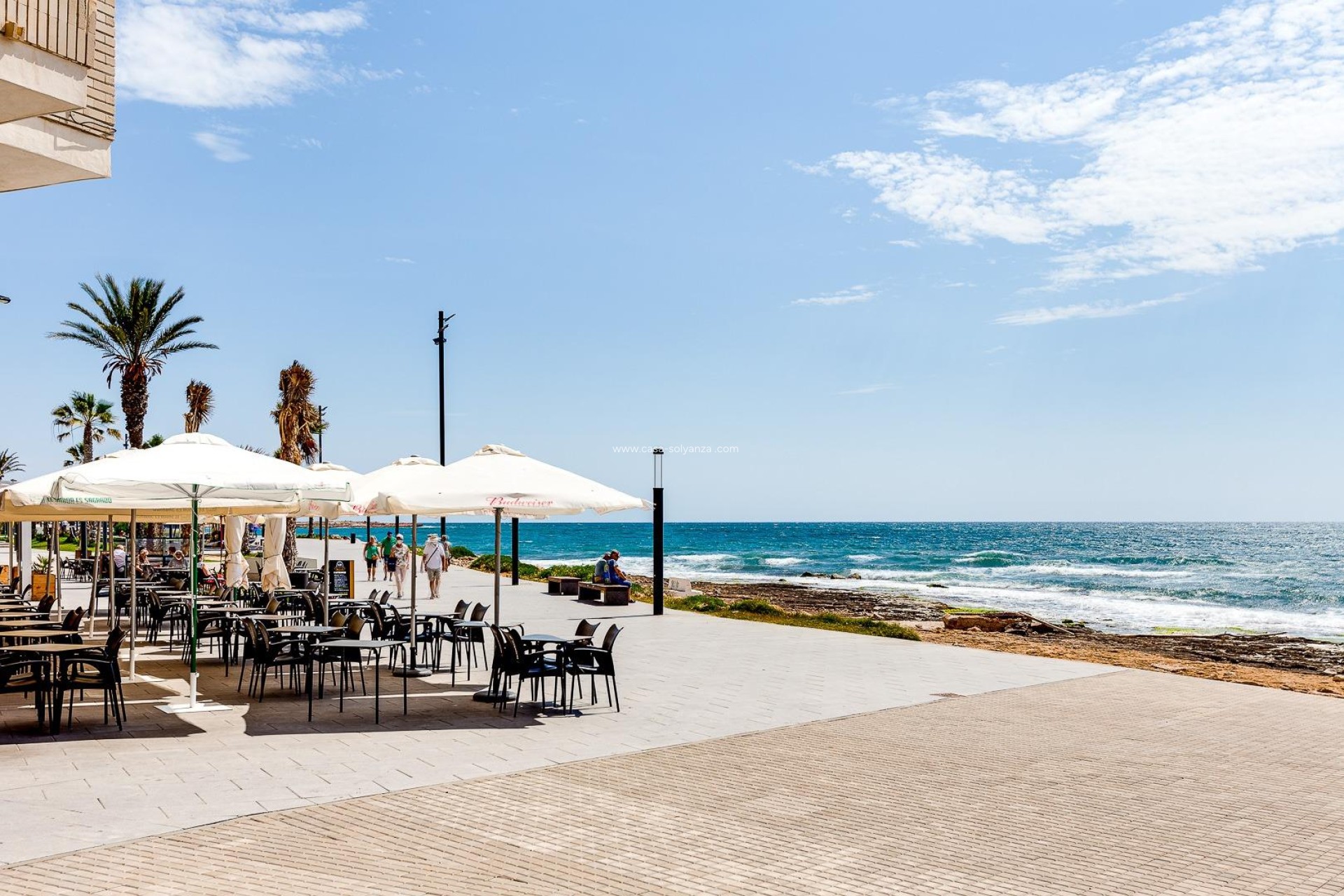Herverkoop - Appartement / flat - Torrevieja - Estacion Autobuses