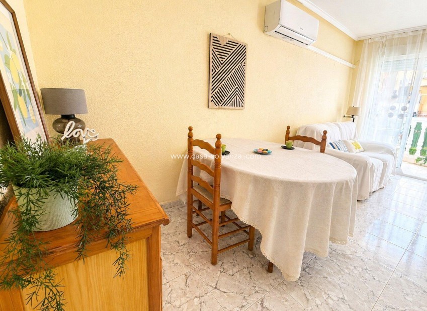 Herverkoop - Appartement / flat - Torrevieja - Habaneras