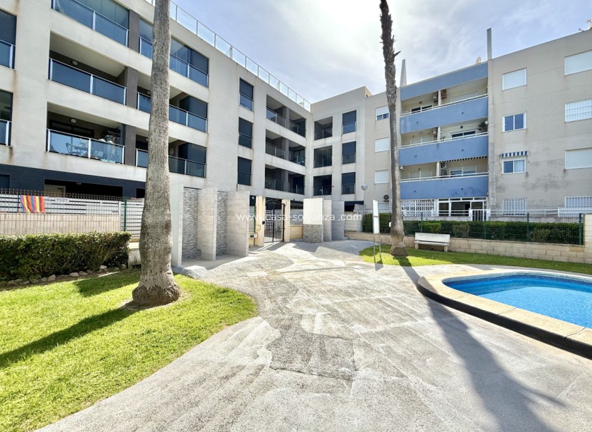 Herverkoop - Appartement / flat - Torrevieja - La Mata