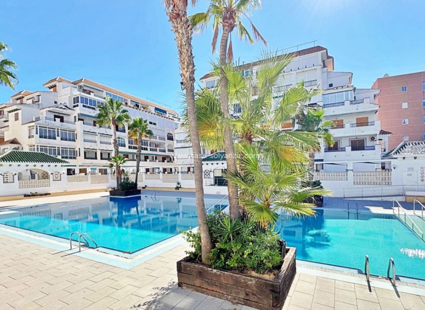 Herverkoop - Appartement / flat - Torrevieja - La Mata
