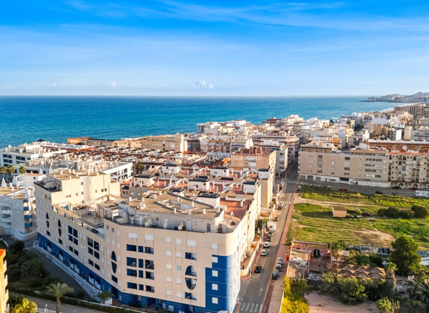 Herverkoop - Appartement / flat - Torrevieja - La Mata