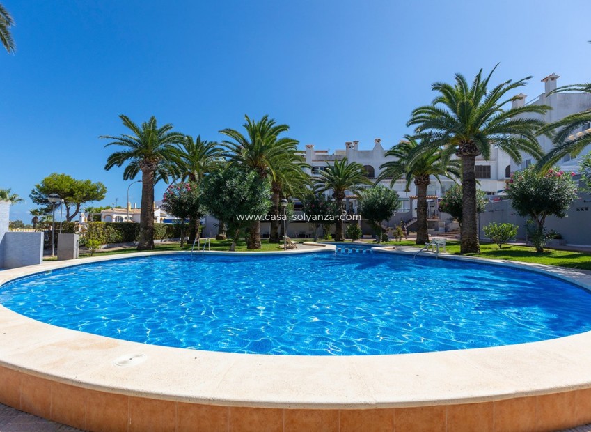 Herverkoop - Appartement / flat - Torrevieja - La Mata
