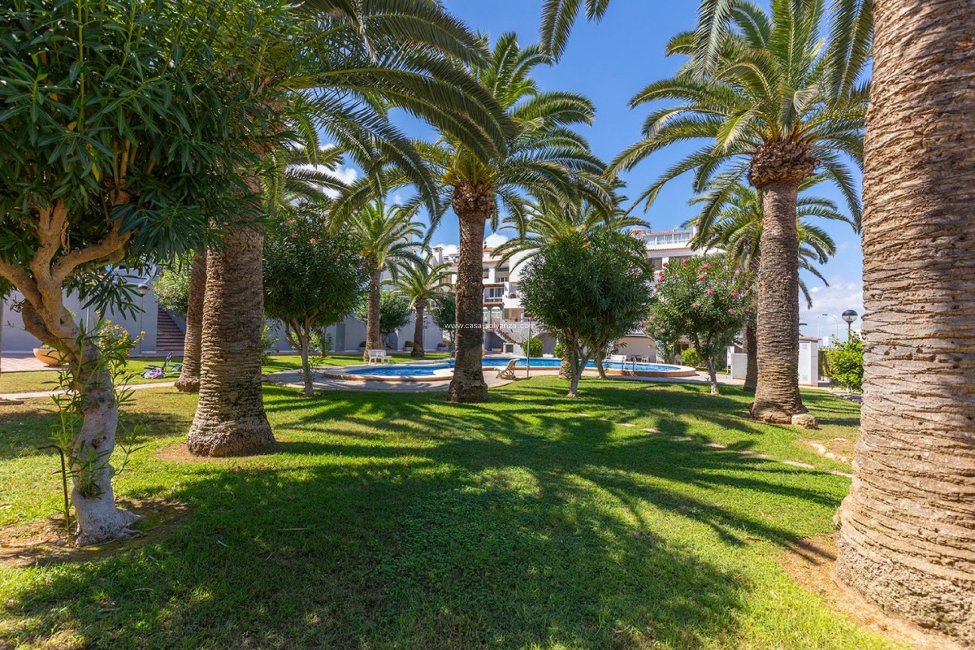 Herverkoop - Appartement / flat - Torrevieja - La Mata