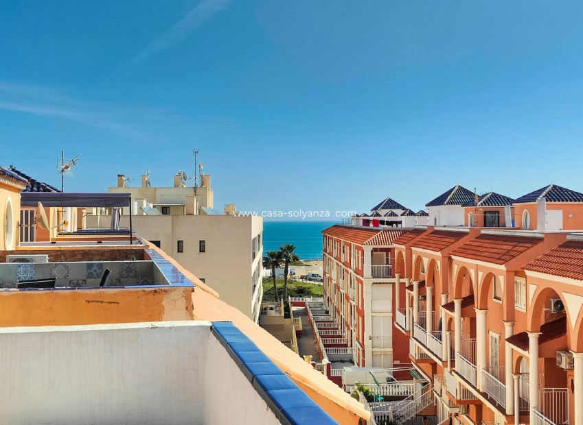 Herverkoop - Appartement / flat - Torrevieja - La Mata