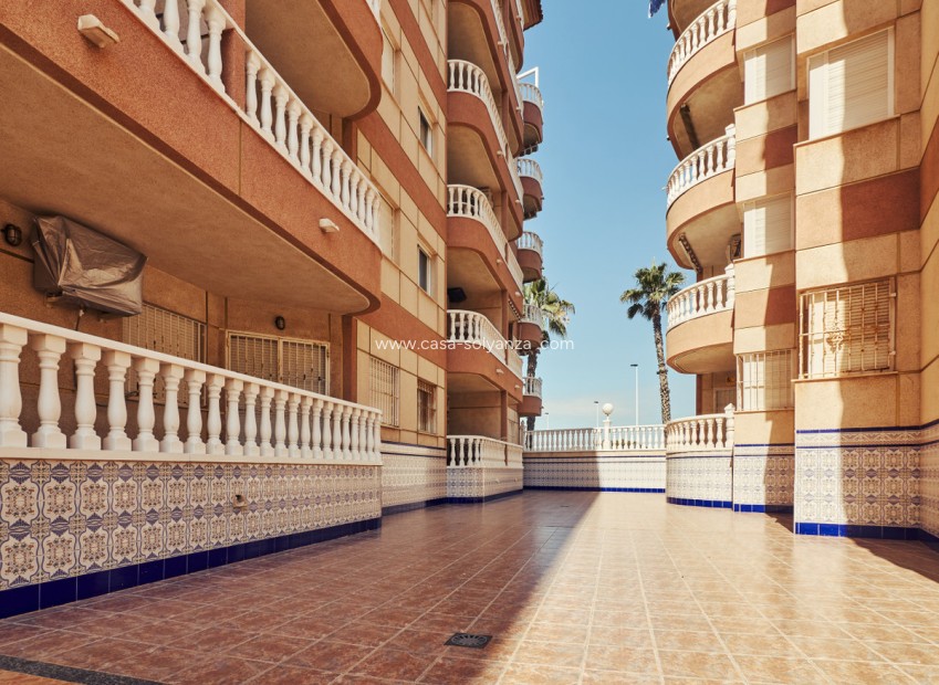 Herverkoop - Appartement / flat - Torrevieja - La Mata