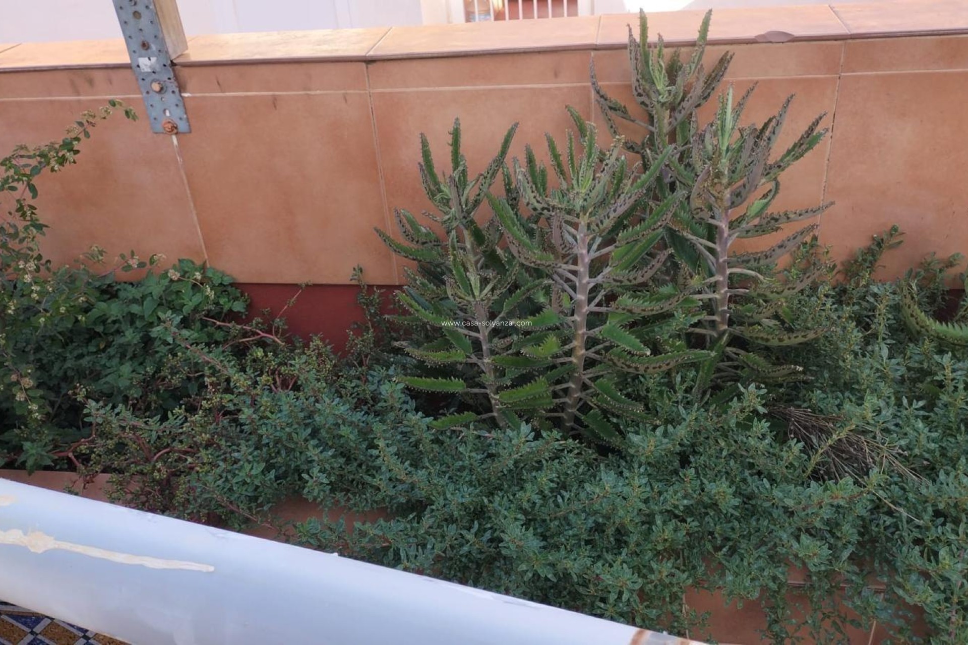 Herverkoop - Appartement / flat - Torrevieja - La Mata