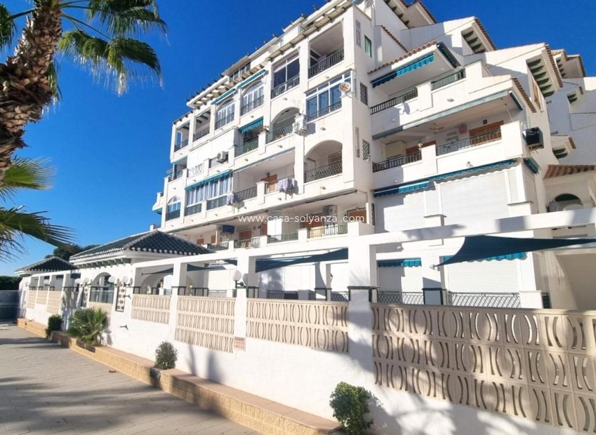 Herverkoop - Appartement / flat - Torrevieja - La Mata