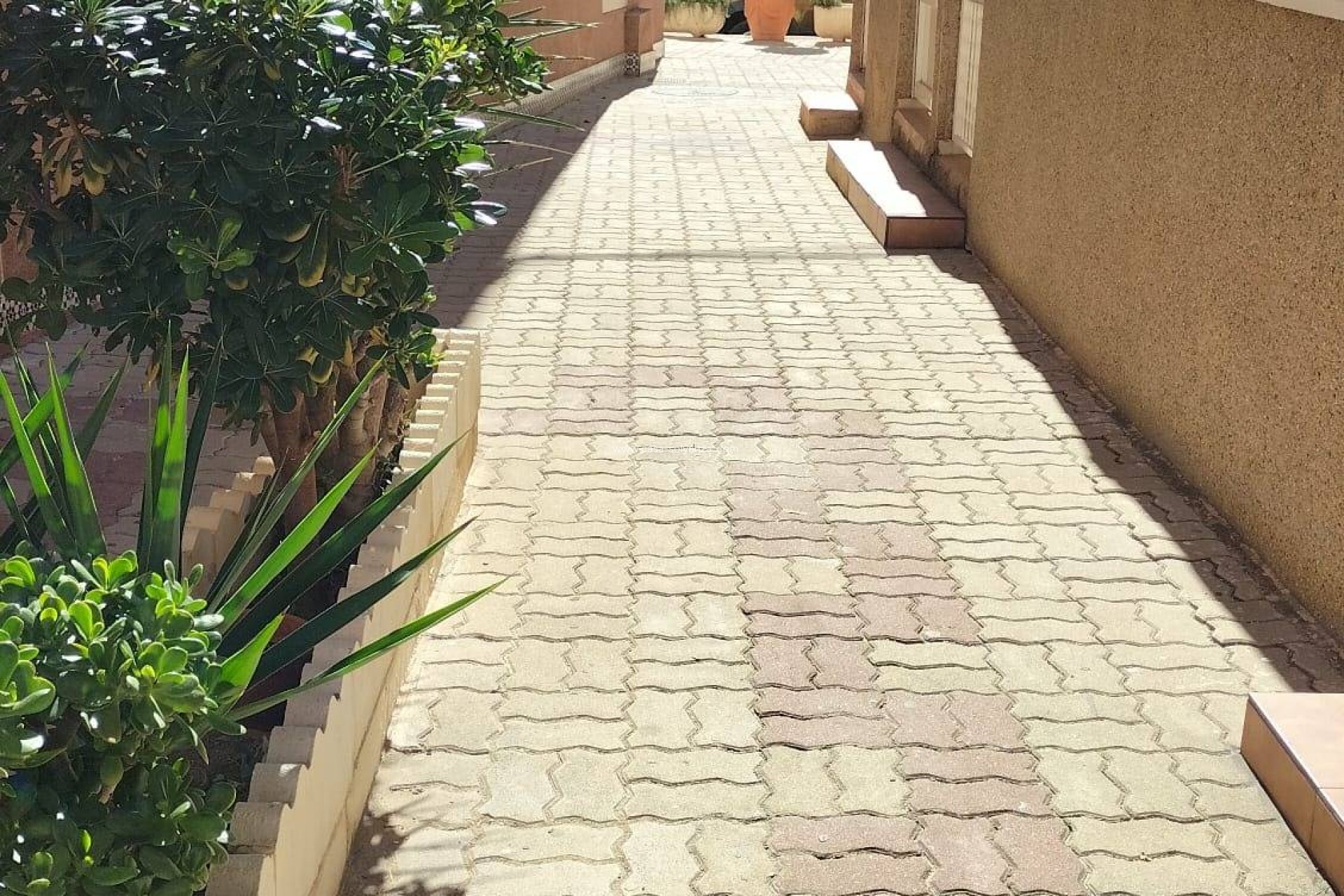 Herverkoop - Appartement / flat - Torrevieja - La Mata