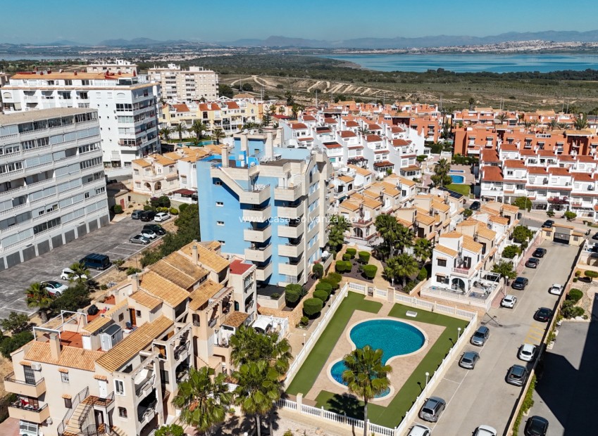 Herverkoop - Appartement / flat - Torrevieja - La Mata