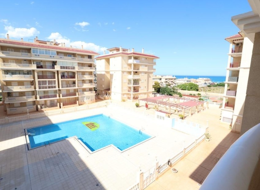 Herverkoop - Appartement / flat - Torrevieja - La Mata