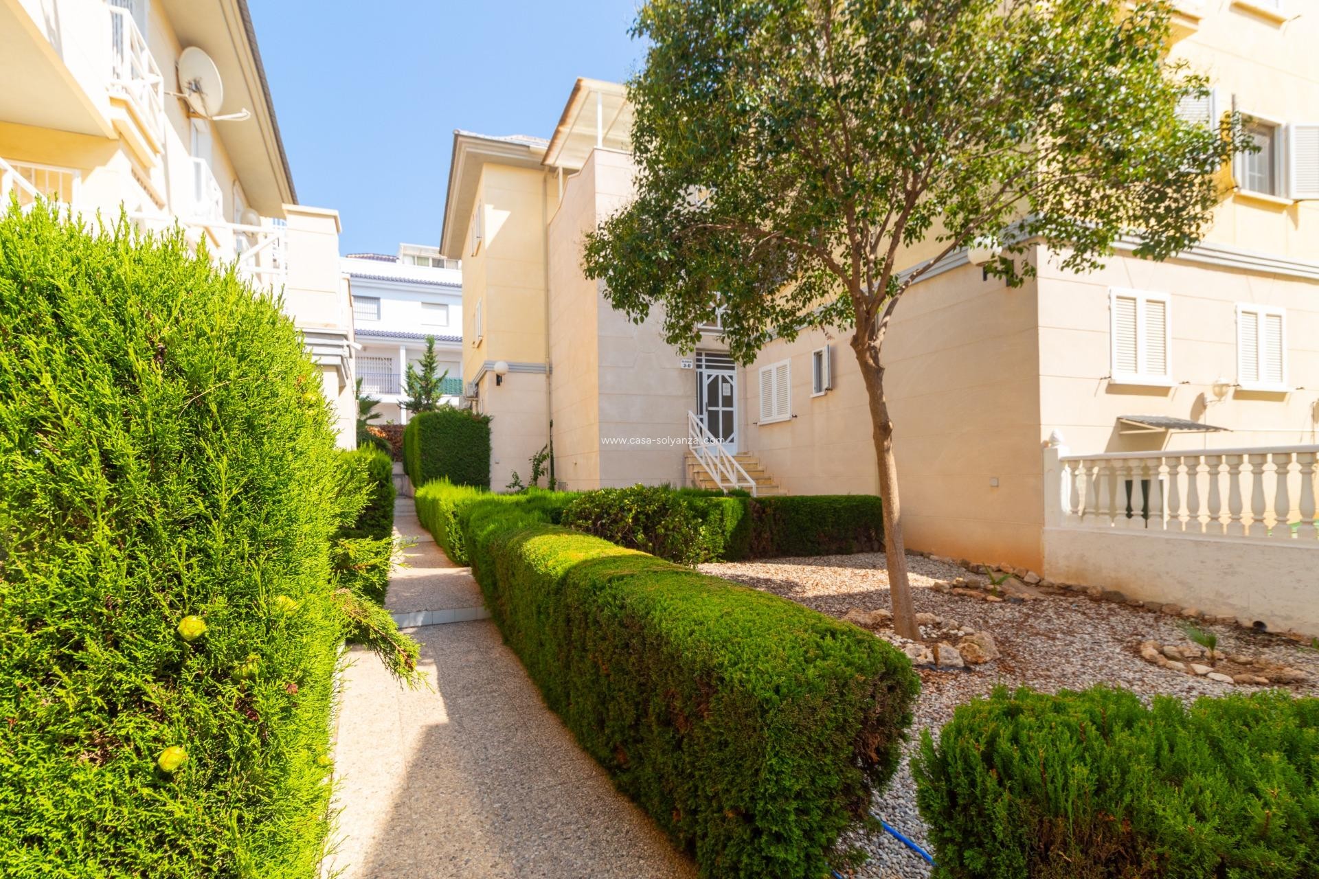 Herverkoop - Appartement / flat - Torrevieja - La veleta