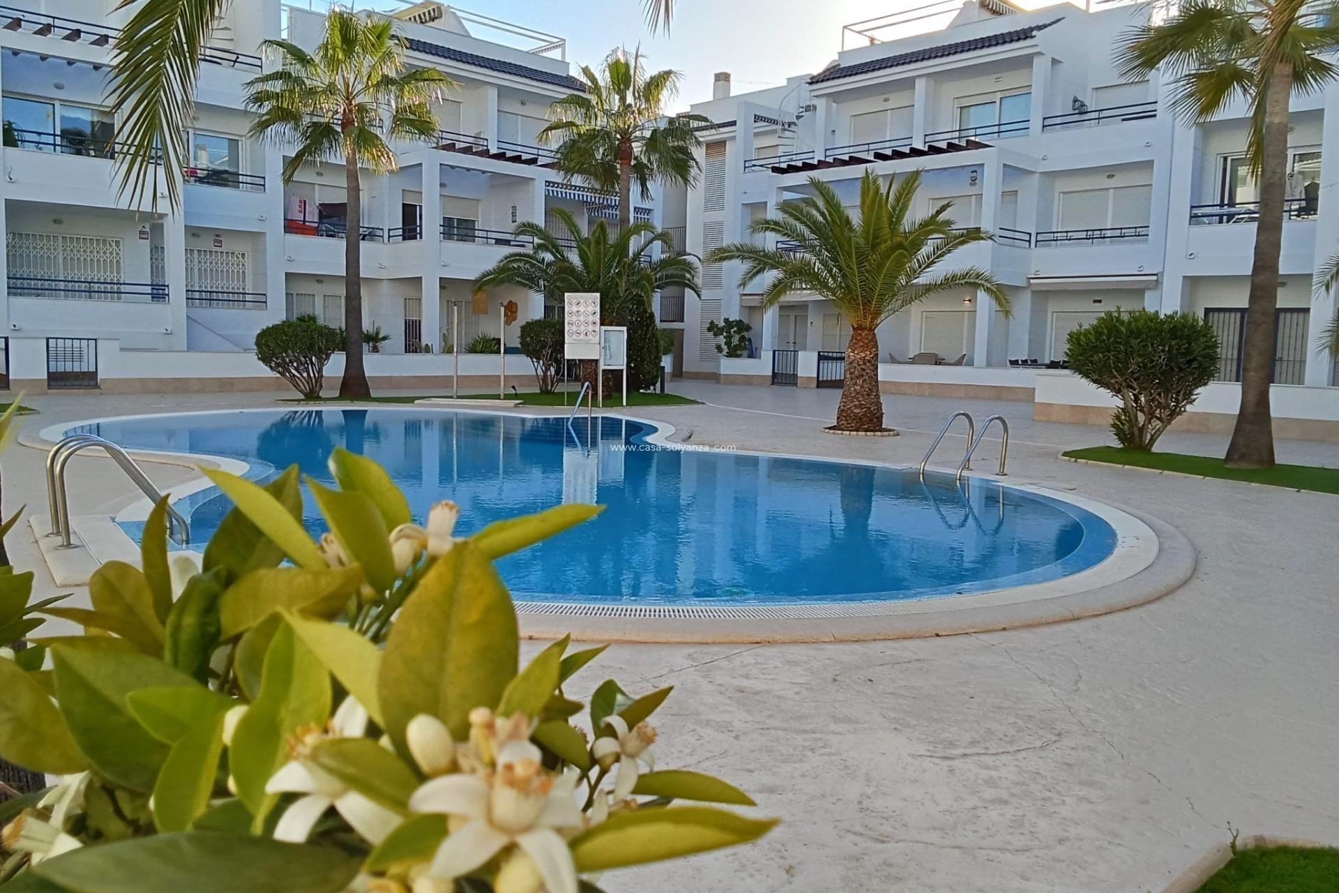 Herverkoop - Appartement / flat - Torrevieja - La veleta