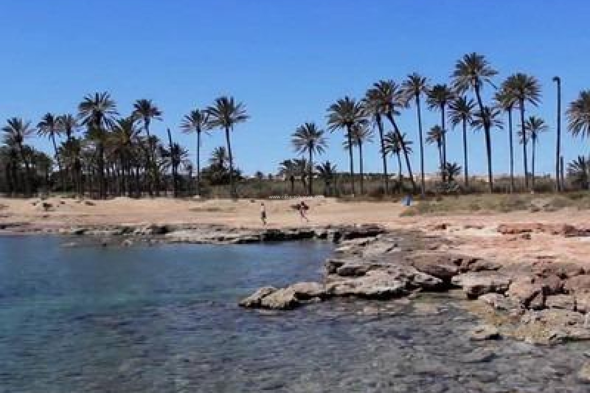 Herverkoop - Appartement / flat - Torrevieja - La veleta