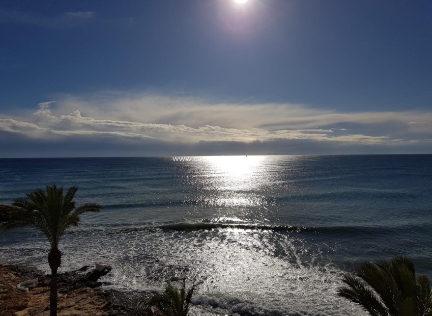 Herverkoop - Appartement / flat - Torrevieja - Las Piscinas Naturales