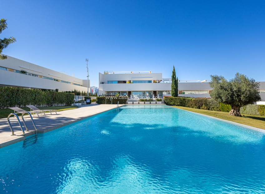 Herverkoop - Appartement / flat - Torrevieja - Los Balcones