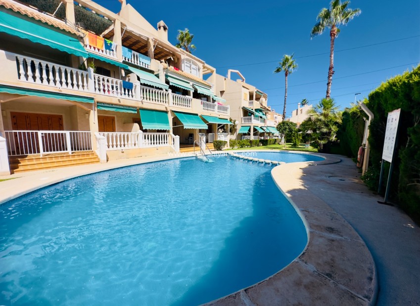 Herverkoop - Appartement / flat - Torrevieja - Los Frutales