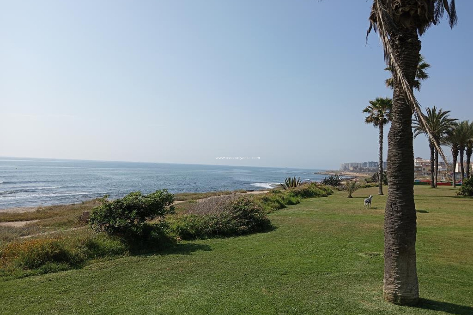 Herverkoop - Appartement / flat - Torrevieja - MAR AZUL LA VELETA