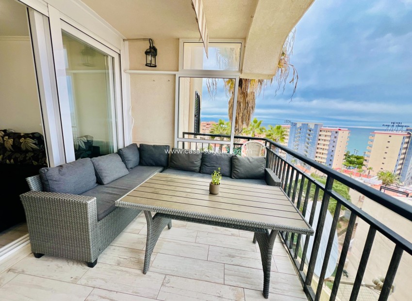 Herverkoop - Appartement / flat - Torrevieja - Miramar - Torre Del Moro